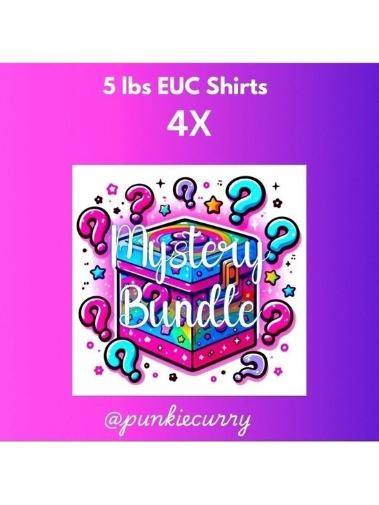 Tops - Mystery Box 5lbs - EUC Shirts - 4X